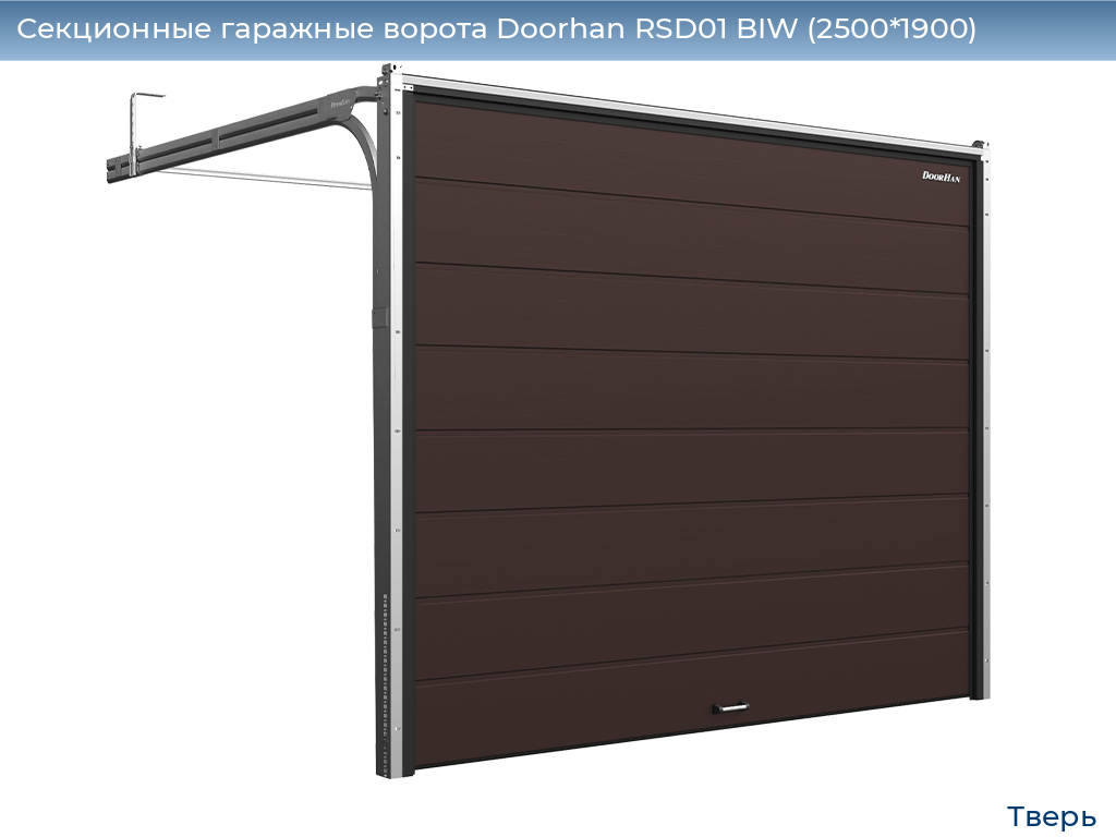 Секционные гаражные ворота Doorhan RSD01 BIW (2500*1900), tver.doorhan.ru