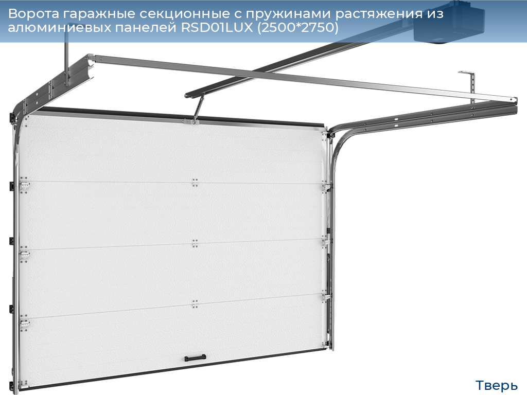 Ворота гаражные секционные с пружинами растяжения из алюминиевых панелей RSD01LUX (2500*2750), tver.doorhan.ru