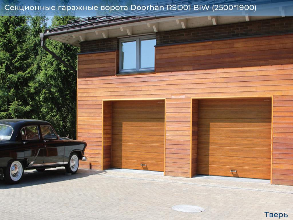 Секционные гаражные ворота Doorhan RSD01 BIW (2500*1900), tver.doorhan.ru