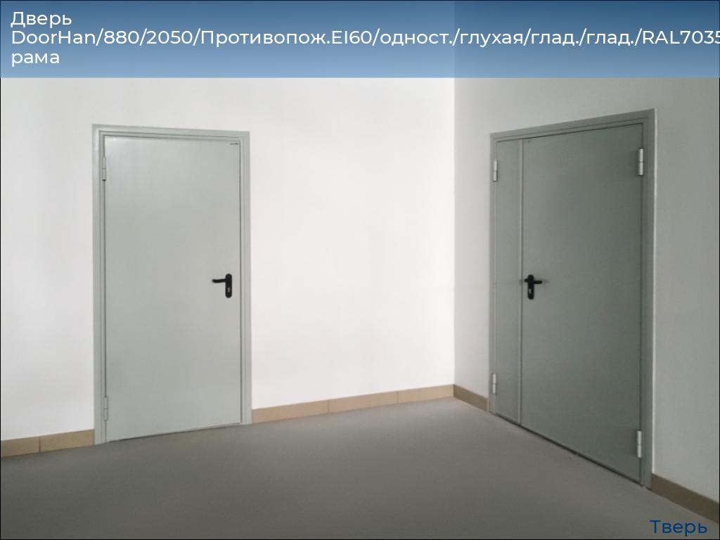 Дверь DoorHan/880/2050/Противопож.EI60/одност./глухая/глад./глад./RAL7035/лев./угл. рама, tver.doorhan.ru