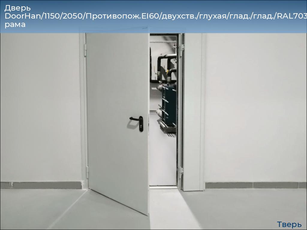 Дверь DoorHan/1150/2050/Противопож.EI60/двухств./глухая/глад./глад./RAL7035/прав./угл. рама, tver.doorhan.ru