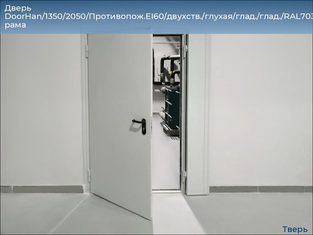 Дверь DoorHan/1350/2050/Противопож.EI60/двухств./глухая/глад./глад./RAL7035/лев./угл. рама, tver.doorhan.ru