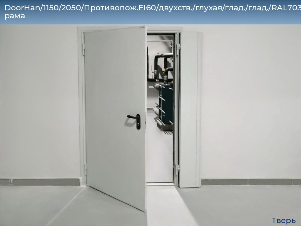 DoorHan/1150/2050/Противопож.EI60/двухств./глухая/глад./глад./RAL7035/лев./угл. рама, tver.doorhan.ru