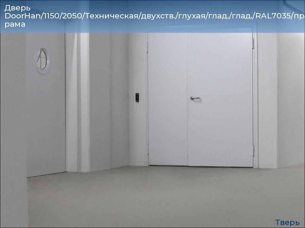 Дверь DoorHan/1150/2050/Техническая/двухств./глухая/глад./глад./RAL7035/прав./угл. рама, tver.doorhan.ru