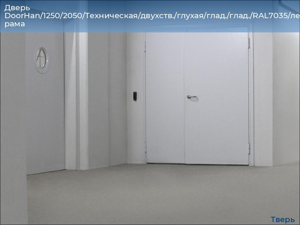 Дверь DoorHan/1250/2050/Техническая/двухств./глухая/глад./глад./RAL7035/лев./угл. рама, tver.doorhan.ru