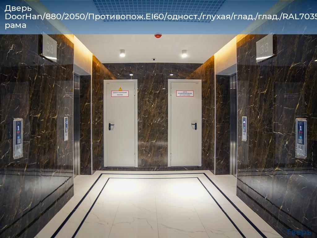 Дверь DoorHan/880/2050/Противопож.EI60/одност./глухая/глад./глад./RAL7035/лев./угл. рама, tver.doorhan.ru