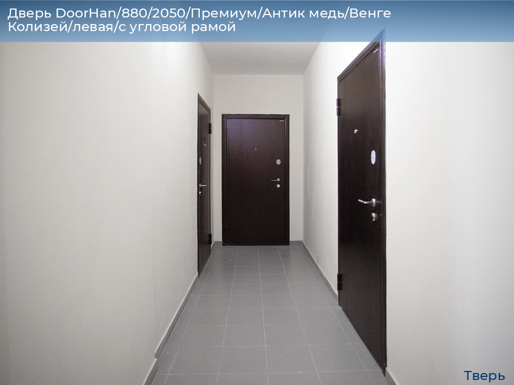 Дверь DoorHan/880/2050/Премиум/Антик медь/Венге Колизей/левая/с угловой рамой, tver.doorhan.ru