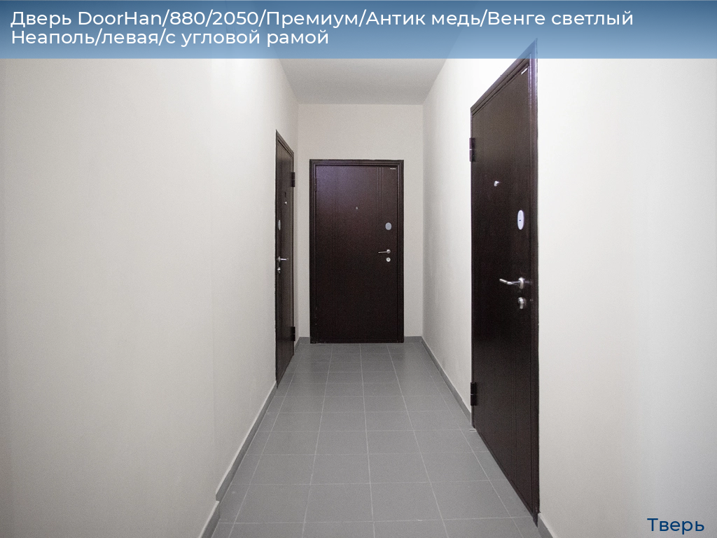 Дверь DoorHan/880/2050/Премиум/Антик медь/Венге светлый Неаполь/левая/с угловой рамой, tver.doorhan.ru