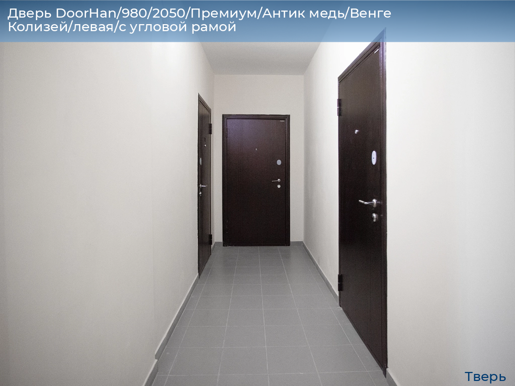 Дверь DoorHan/980/2050/Премиум/Антик медь/Венге Колизей/левая/с угловой рамой, tver.doorhan.ru