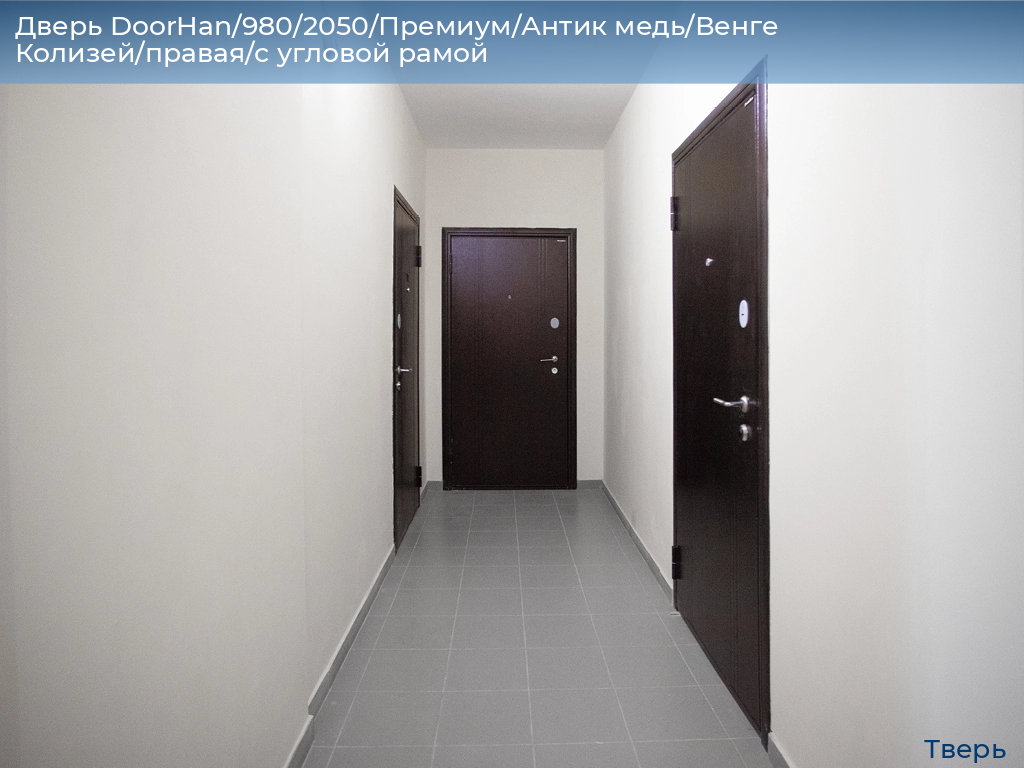 Дверь DoorHan/980/2050/Премиум/Антик медь/Венге Колизей/правая/с угловой рамой, tver.doorhan.ru