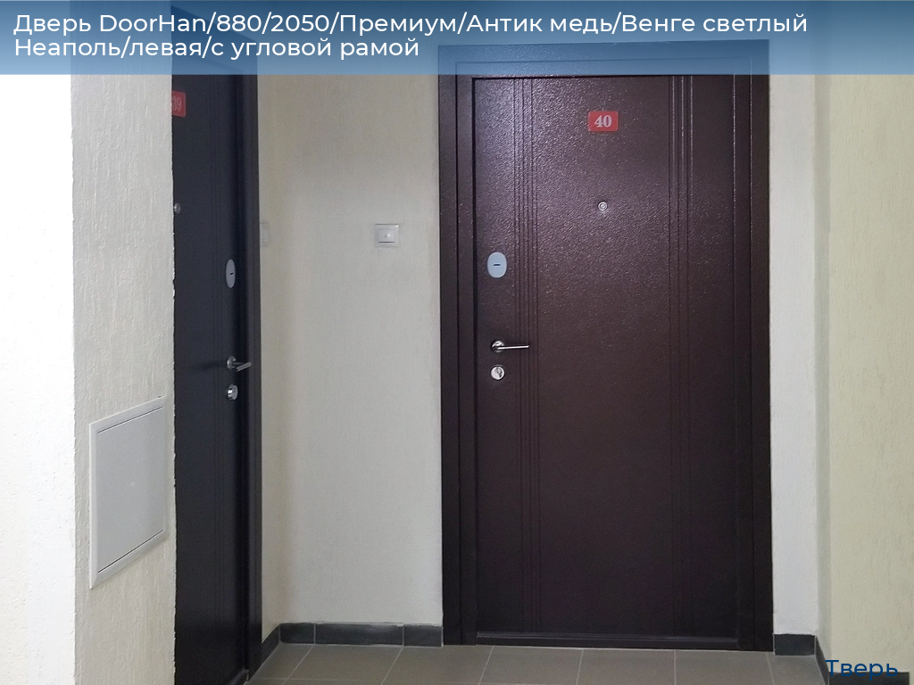 Дверь DoorHan/880/2050/Премиум/Антик медь/Венге светлый Неаполь/левая/с угловой рамой, tver.doorhan.ru